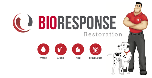 BioResponse logo